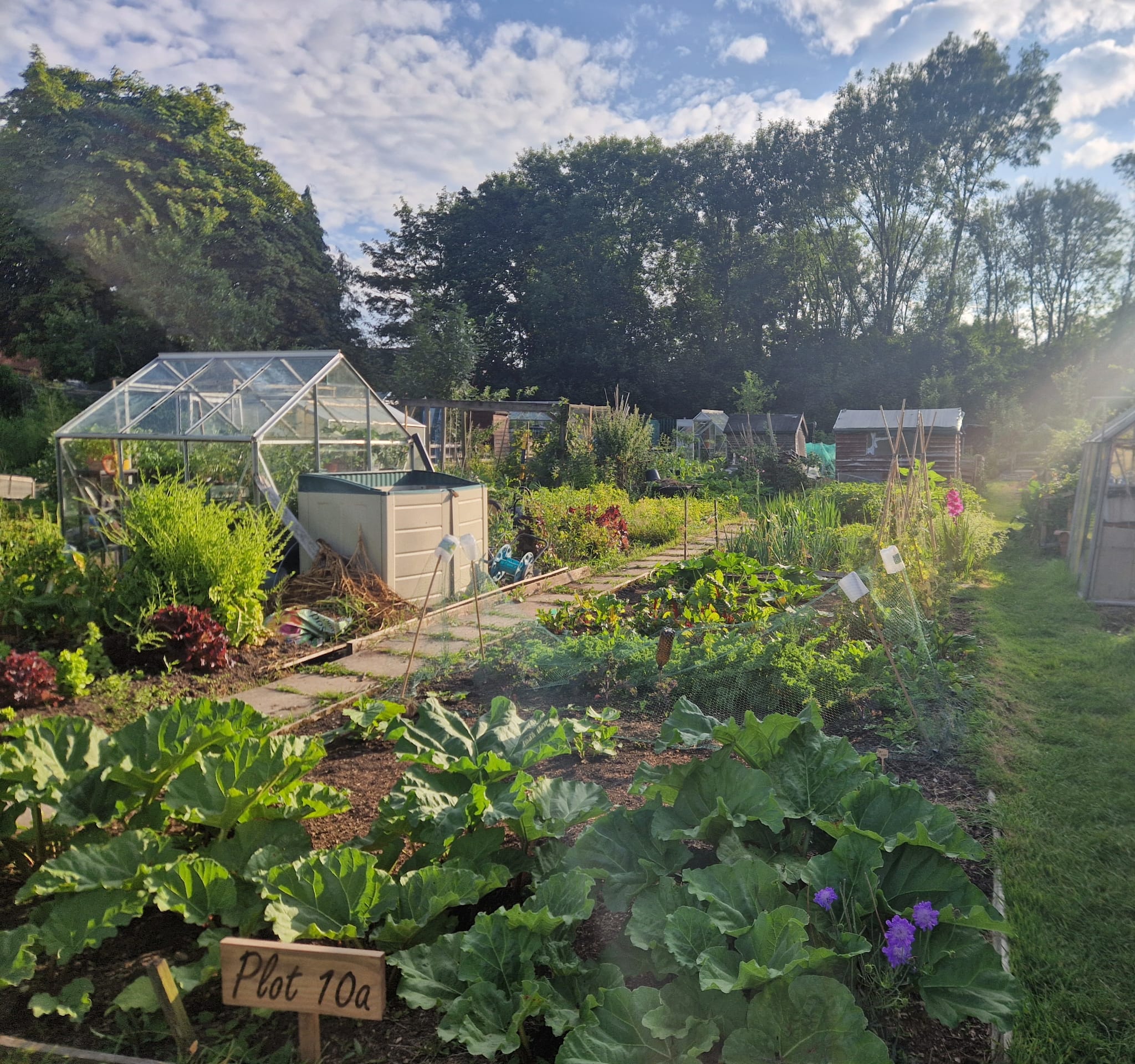 Image of Dean Row Allotment