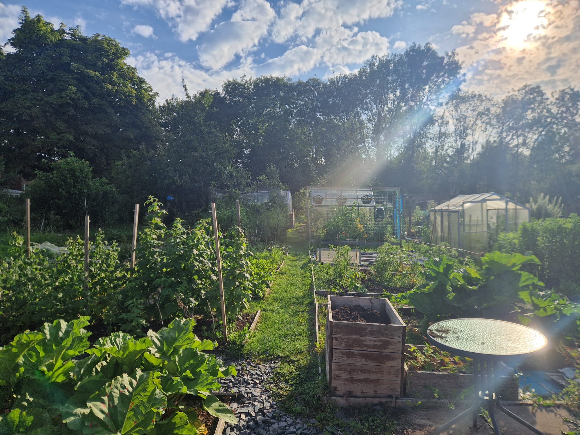 Image of Dean Row Allotment